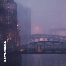in a haze cover
