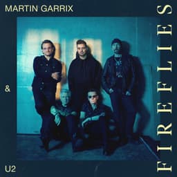 Fireflies cover