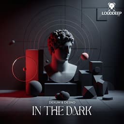 In The Dark cover