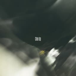 Chin Up cover