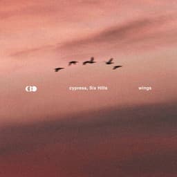 wings cover